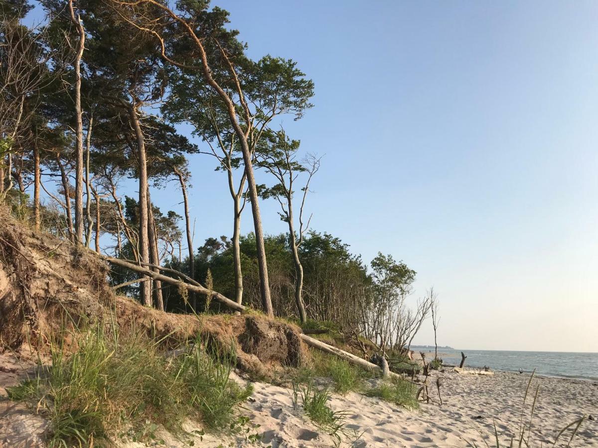 "Kontorhaus" By Ferienhaus Strandgut Born Buitenkant foto